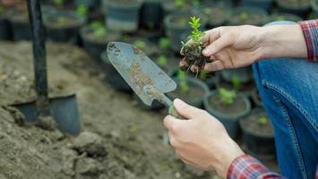 Falsche Gärtner beklauen Seniorin: Vorsicht vor dieser Masche!