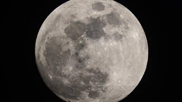 märz-vollmond ist der „wurm-mond“ – und kündigt den frühling an