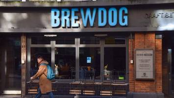 craftbeer-brauer in der krise: hamburger pub auf st. pauli droht das aus