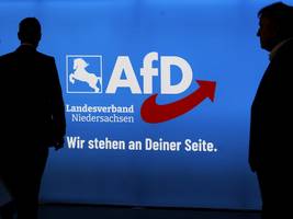 afd-mitarbeiteraffäre: nur zum schein im wahlkreisbüro