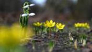 DWD-Prognose: Mildes Frühlingswetter hält in Hessen weiter an