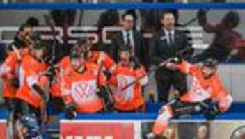 Deutsche Eishockey Liga: Erfolgreicher Start: Wolfsburg-Coach siegt kurz nach Ankunft