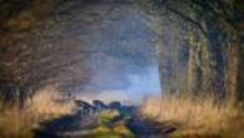 fotografie: bilder des tages