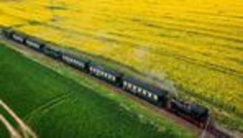 Kultur und Freizeit: So viel teurer werden Museen, Kurtaxe und Co. in MV