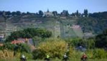 Radtourismus: Elberadweg ist Deutschlands meistbefahrener Radfernweg