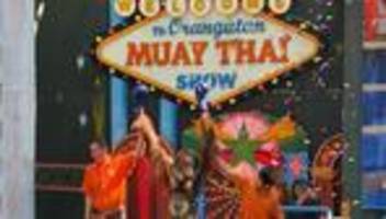 Umstrittene Tier-Shows: Boxen statt Baumkronen: Orang-Utans als Touristenattraktion