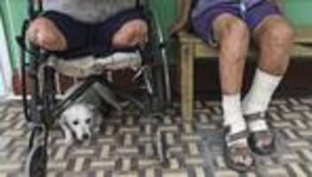 WHO: Chile hat als zweites Land überhaupt die Krankheit Lepra besiegt