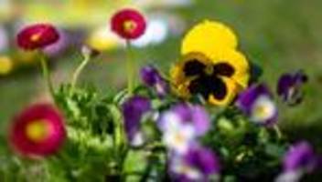 Wetteraussichten: Sonniges Frühlingswetter in NRW setzt sich fort