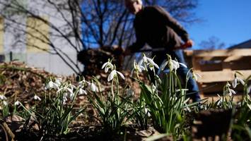 wetter in berlin: sonnig und mild am tag – frostige nächte erwartet