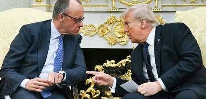 friedrich merz bei donald trump: kanzler bleibt gelassen trotz trumps lügengeschichten