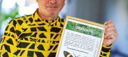 biene emma bekommt flatternde konkurrenz