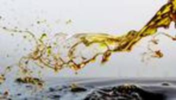 Benzinpreise: Das passiert, wenn man die Energiewende bremst