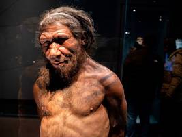 menschheitsgeschichte: der neandertaler, ein vergewaltiger?