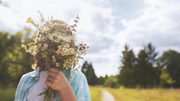 Allergie-Gefahr: Diese Blumen sollten Allergiker auf keinen Fall im Haus haben