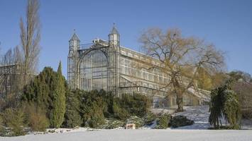Mittelmeerhaus im Botanischen Garten wird gesichert – Rettung vor dem Einsturz