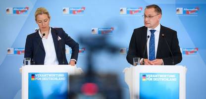 afd: wie der iran-krieg die partei spaltet