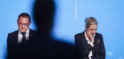 AfD: Mysteriöser AfD-Gönner ist Zürichs größter privater Grundbesitzer