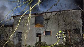 Brandstiftung? Alter Tierstall steht plötzlich in Flammen