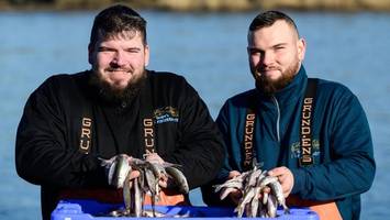 Frischer Stint zum Selberbraten: In diesen Fischgeschäften gibt es ihn