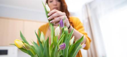 ein stück frühling auf dem tisch: mit diesen tricks bleiben tulpen lange frisch
