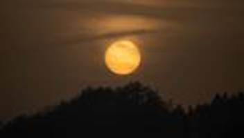 Fotografie: Bilder des Tages