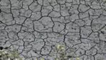 Klimawandel: Erderwärmung hat sich laut Studie deutlich beschleunigt