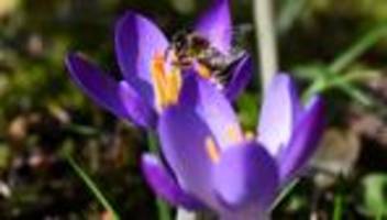 Wettervorhersage: Sonniges Wochenende in Hessen – bis zu 20 Grad erwartet