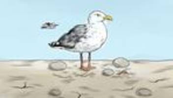 Ostsee: Jetzt ist richtig viel Platz!