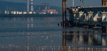 krieg in nahost: trump erlaubt neu-delhi 30 tage lang einkauf von russischem rohöl