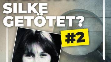 Akte Stormarn: Was der Kriminologe Axel Petermann zu dem Fall sagt