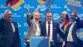 ein brandbrief, eine schlammschlacht – doch die afd-rebellin soll nun gehen