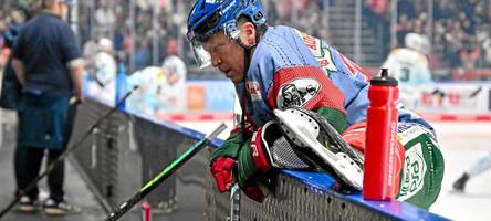 Der AEV siegt 6:3 im Heimspiel gegen die Dresdener Eislöwen