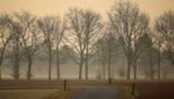 Naturphänomene: Afrika-Gruß: Warum der Himmel grau ist und die Sonne milchig