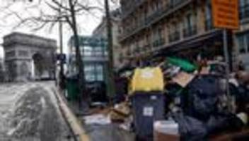 Rattenplage: Wahlkampf in Paris - Millionen Ratten sorgen für Streit