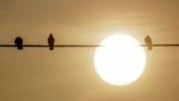 Wetter: DWD: Nochmal teils milchig-trübes Licht wegen Saharastaub