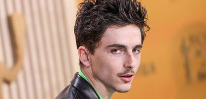 timothée chalamet: bühnen reagieren kreativ auf chalamets kritik an oper und ballett