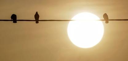 Wetter in Deutschland: Saharastaub am Wochenende sorgt für Einschränkungen