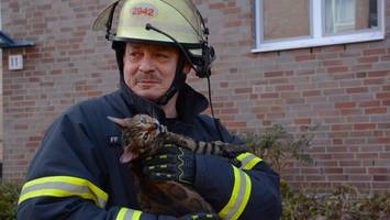 katzen-rettung in neuallermöhe – schwarzer rauch quillt aus wohnung