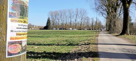 Wende im Pappel-Streit? Alte Bäume dürfen vorerst nicht gefällt werden