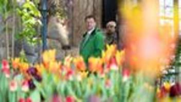 Blumenausstellung: Dresdner Frühling steuert auf Besucherrekord zu