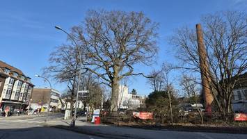 Onlinepetition fordert Wohnungsbau in Alsterdorf – nicht nur Gewerbeflächen