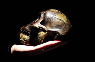 spektakulärer fund könnte „geschichte menschlichen ursprungs neu schreiben“