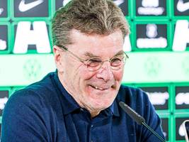 Dieter Hecking beim VfL Wolfsburg: Ein Fall für den „King“