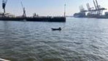 Schiffbau: Rheinmetall will jährlich Hunderte Drohnenboote bauen