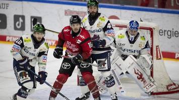 eisbären senden ein zeichen zur rechten zeit