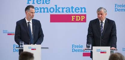 FDP in Baden-Württemberg nach der Wahl unter Druck: Ist da noch jemand?