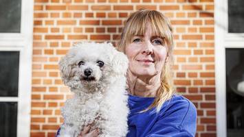 Wenn das Haustier zum Luxusgut wird: Immer mehr Halter bitten um Spenden