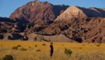 Eine der trockensten Wüsten: Seltene Blütenpracht im Death Valley