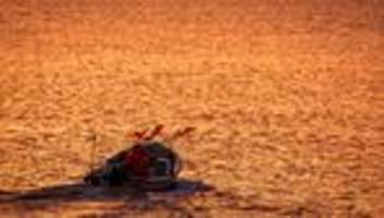 Meeressäuger: Wal verfängt sich vor Ostseeküste in Fischernetz