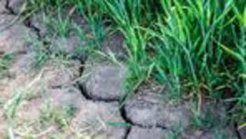 Risiken durch Klimawandel: Mehr Tempo fürs Klima: Experten fordern rasche EU-Agrarwende